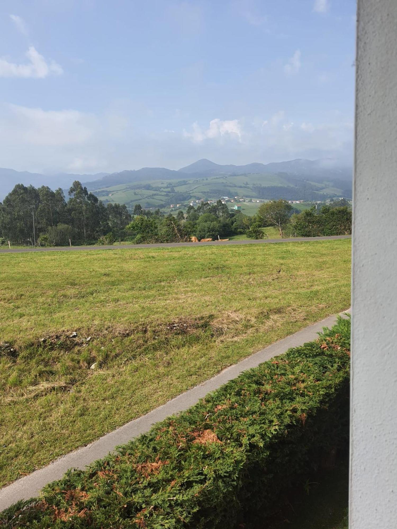 El Orbayu Apartment Colombres Bagian luar foto